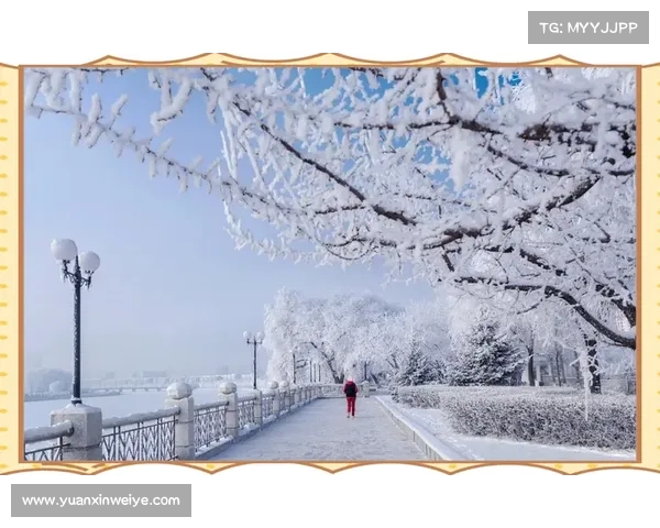 冬日湖畔漫步:感受诗意静谧与自然之美的心灵之旅 冬日湖畔漫步:感受诗意静谧与自然之美的心灵之旅